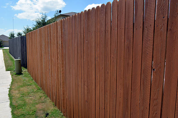 Cedar Fences